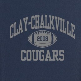 Team Logo